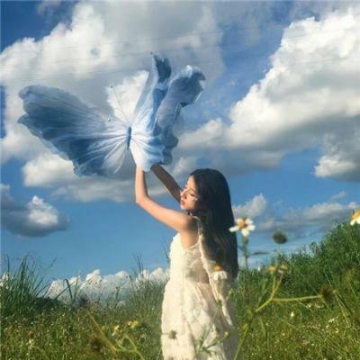 我的曲送给你
